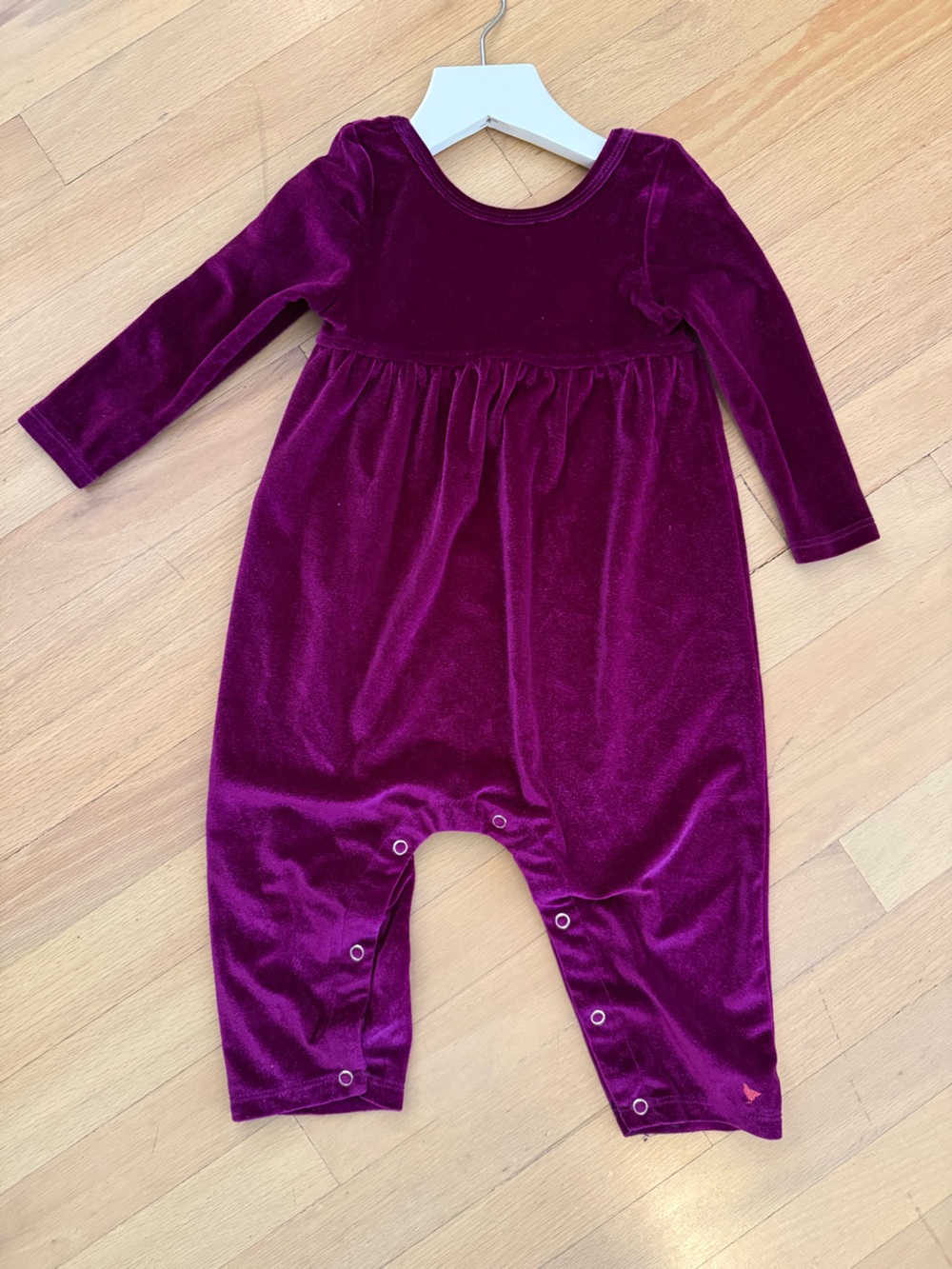 Pink Chicken Velvet Scoop Neck Top in Plum